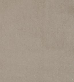 Plush Velvet FR Fabric by Warwick Fog