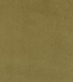 Plush Velvet Fabric by Warwick Moss