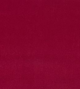 Plush Velvet FR Fabric by Warwick Shiraz