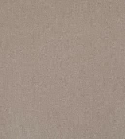 Plush Velvet FR Fabric by Warwick Taupe