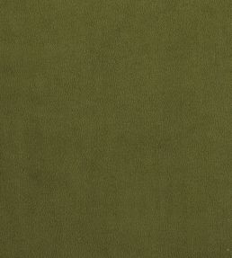 Plush Velvet FR Fabric by Warwick Vine