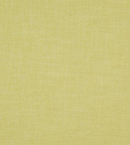 Braemar Fabric by Wemyss Pistachio