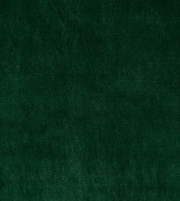Riga Fabric by Wemyss Spruce
