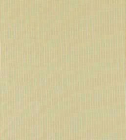 Windsor Fabric by Clarke & Clarke Ochre