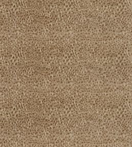Wallis Velvet Fabric by Zoffany Antelope