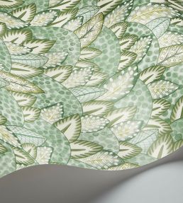 Zulu Terrain Wallpaper by Cole & Son Sage & Olive