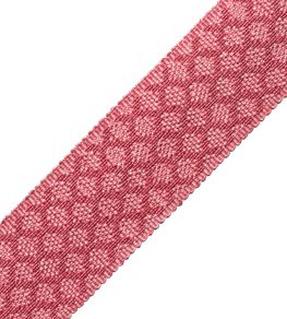 1.75" Le Jardin Silk Border Trimming by Samuel & Sons Flamingo