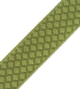 1.75" Le Jardin Silk Border Trimming by Samuel & Sons Grass