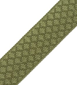 1.75" Le Jardin Silk Border Trimming by Samuel & Sons Leaf