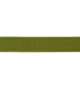 38mm Francoise Border Trimming by Samuel & sons Verde