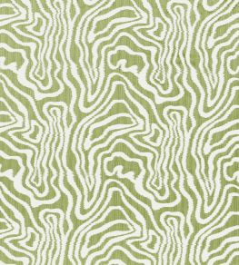 Alessandro Fabric by Thibaut Sage