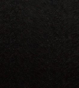 Allegra Fabric by Kai Coal