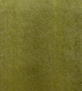 Allegra Fabric by Kai Kiwi