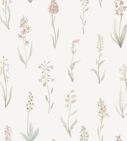 Alma Wallpaper by Sandberg Blush