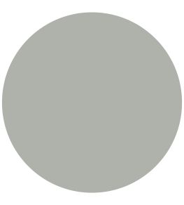 Almost Grey 1829 Gloss Paint by Craig & Rose Almost Grey
