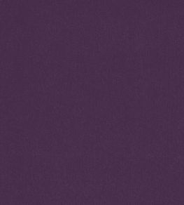 Alto Velvet Fabric by Thibaut Amethyst