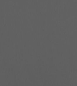 Alto Velvet Fabric by Thibaut Graphite