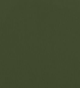 Alto Velvet Fabric by Thibaut Olive