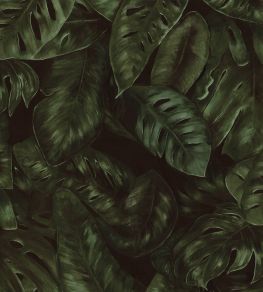 Amazon Wallpaper by Rebel Walls Fern