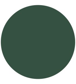 Amsterdam Green Chalk Paint by Annie Sloan Amsterdam Green