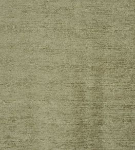 Anderson Fabric by Prestigious Textiles Basil