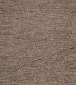 Anderson Fabric by Prestigious Textiles Mink