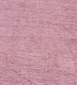 Anderson Fabric by Prestigious Textiles Rosebud