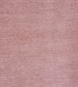 Anderson Fabric by Prestigious Textiles Shell