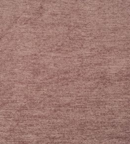 Anderson Fabric by Prestigious Textiles Thistle