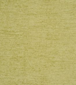Anderson Fabric by Prestigious Textiles Wasabi