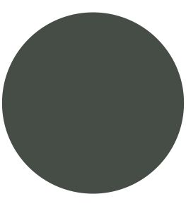 Angelica 1829 Chalky Emulsion Paint by Craig & Rose Angelica