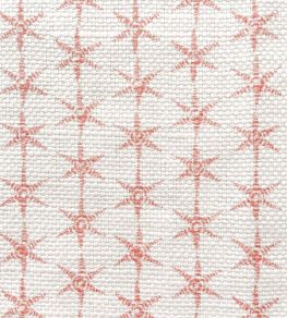 Anise Fabric by Juliet Travers Pink