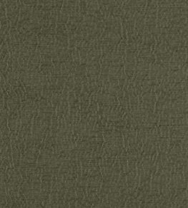 Anshu Fabric by Designers Guild Fir