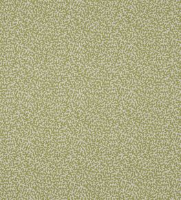 Apolline Fabric by Manuel Canovas Kiwi