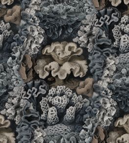 Aquila Wallpaper by Rebel Walls Teal