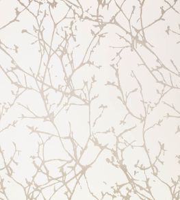 Arbor Wallpaper by Romo Jasmine