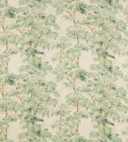 Arbour Fabric by Colefax and Fowler Forest Green