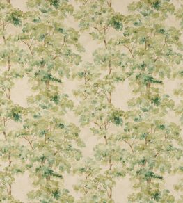 Arbour Fabric by Colefax and Fowler Leaf Green