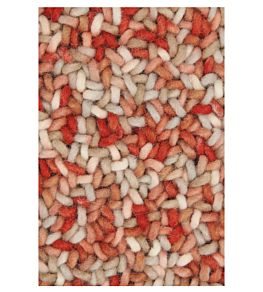 Arch Rug by Brink & Campman 2