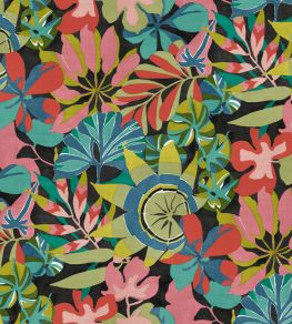 Arena Fabric by Arley House Coral