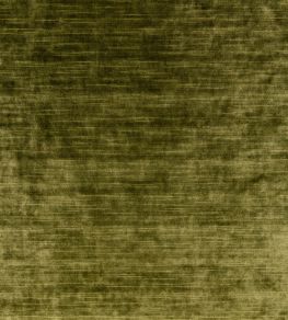 Armando Fabric by Zinc Cypress