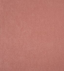 Arona Fabric by Designers Guild Blossom