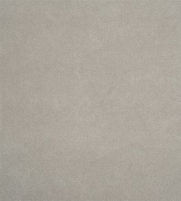 Arona Fabric by Designers Guild Dove