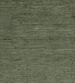 Arrowroot Wallpaper by Mark Alexander Typhoon