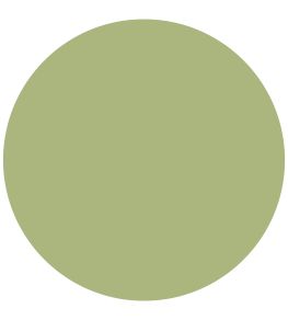 Artichoke Active Emulsion Paint by Sanderson Artichoke