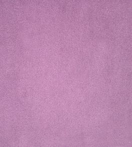 Alaska Fabric by Ashley Wilde Mauve