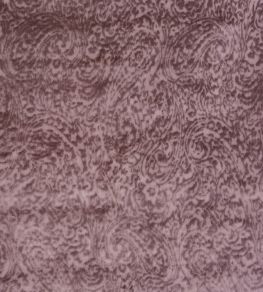Ayla Fabric by Prestigious Textiles Rose Quartz