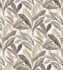 Baby Oasis Fabric by Arley House Ecru