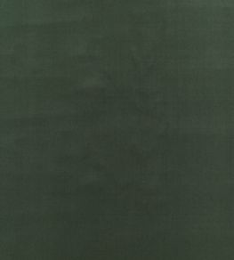 Baker House Velvet Fabric by GP & J Baker Eucalyptus