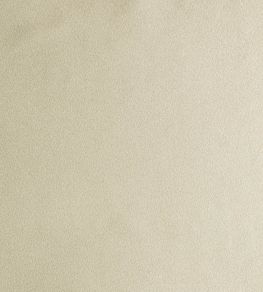 Ballet Fabric by de Le Cuona Feather